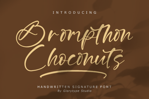 Brompthon Choconuts First Impressions