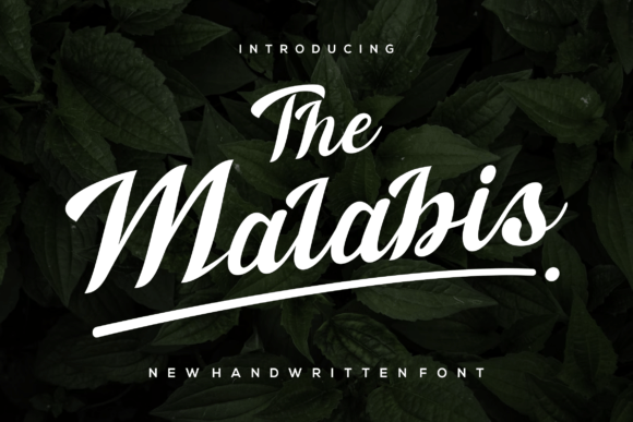 The Malabis: A Script Font for Thoughtful Typography