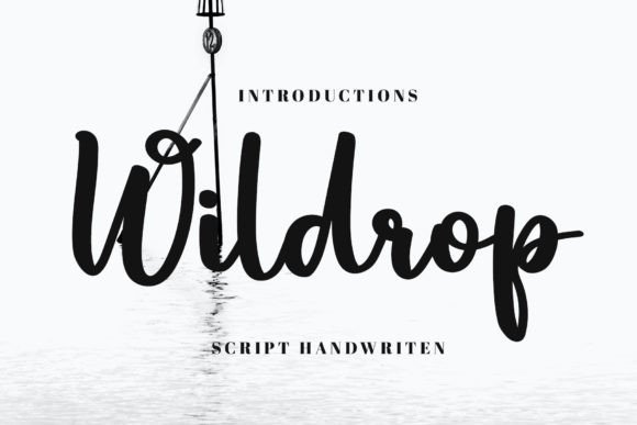 Wildrop: A Font That Elevates Brand Identity